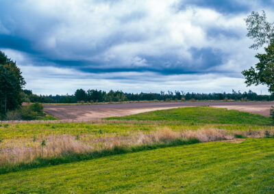 HabitusHuset på Mejlingvej – bæredygtig bolig i træ med fokus på naturlige materialer.